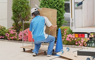 引っ越しの写真